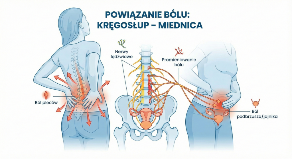 infografika z bólem kręgoslupa